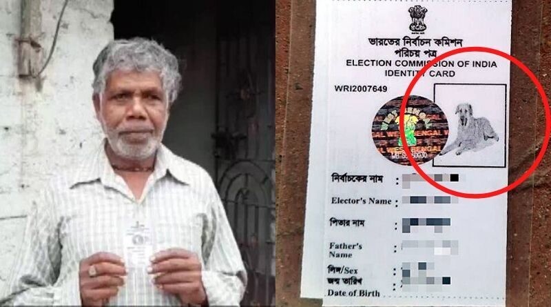 What kind of negligence .... In the voter ID card, the picture of the dog instead of the voter ..