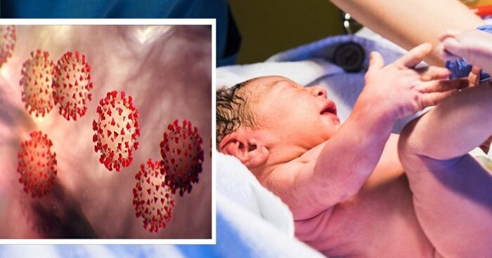 corona-virus-infected-new-born-baby-in-london
