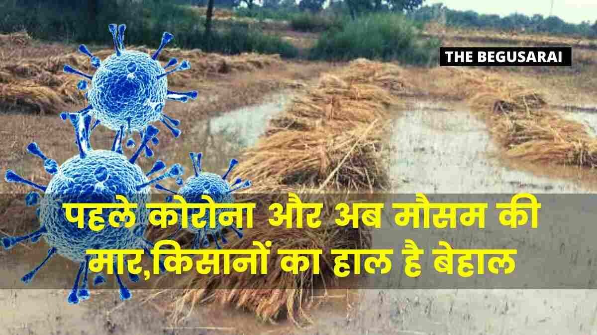 Begusarai: First Corona and now the weather hits, farmers are in a state of disarray