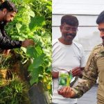 dhoni-organic-farming-business