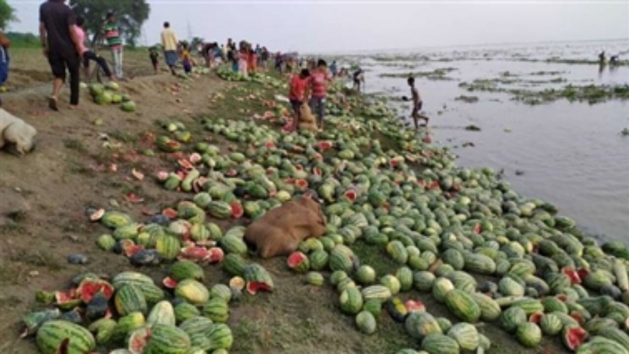 Water Melon Begusarai