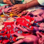 Bihar 5 New Born Baby