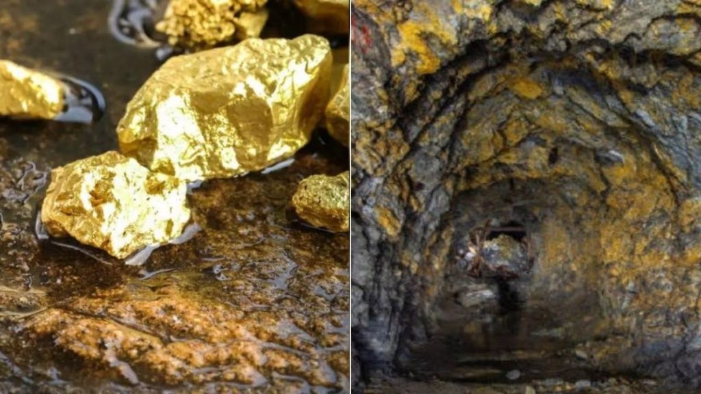 gold found in bihar