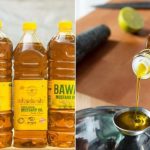 mustard oil rates