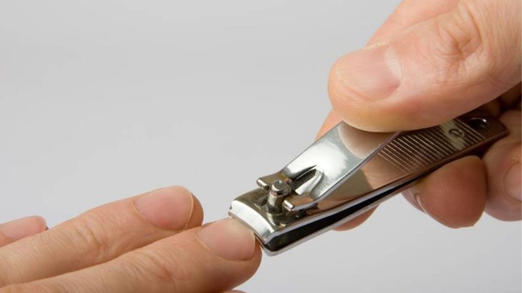 nail cutter