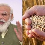 modi export ban wheat