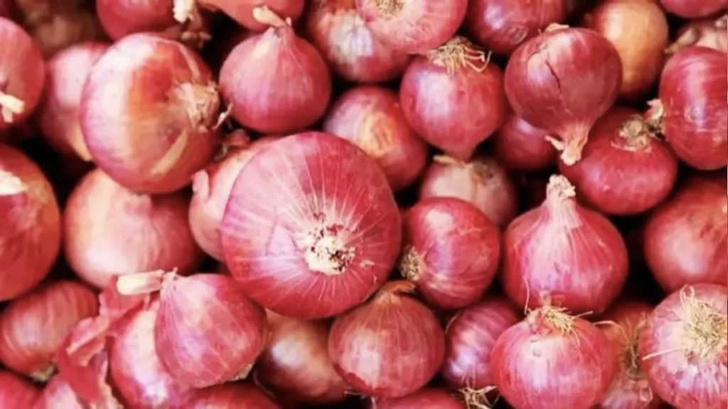 Onion Price