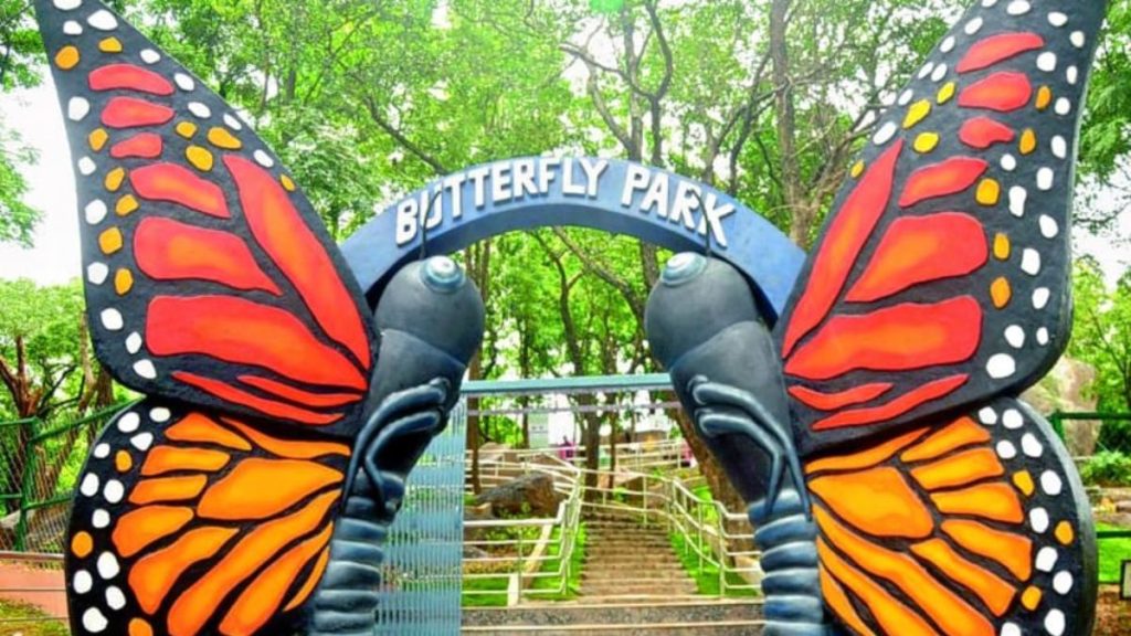 बिहार में है देश का पहला Butterfly Park, जानें - क्या है खास? 1