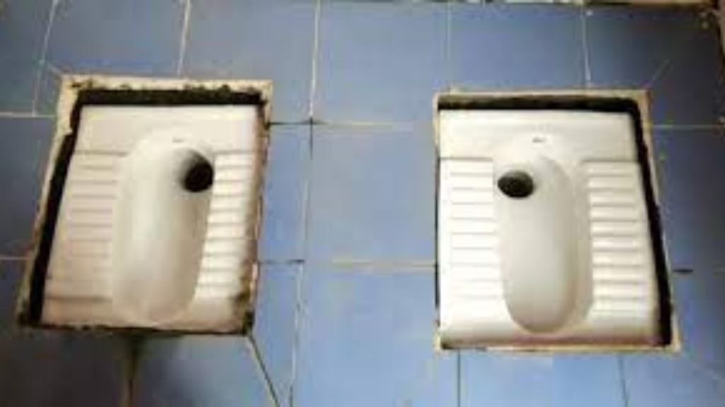 गजब! एक टॉयलेट को बनने में लग गए 10 लाख रुपए, जानें - कैसे हुआ ये चमत्कार. 1