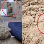 hand grenade bihar boy found