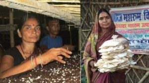 गर्व! बिहार की Pushpa Jha 20,000 हजार महिला को मशरूम उगाने की ट्रेनिंग दे चुकी हैं, जानें - 7