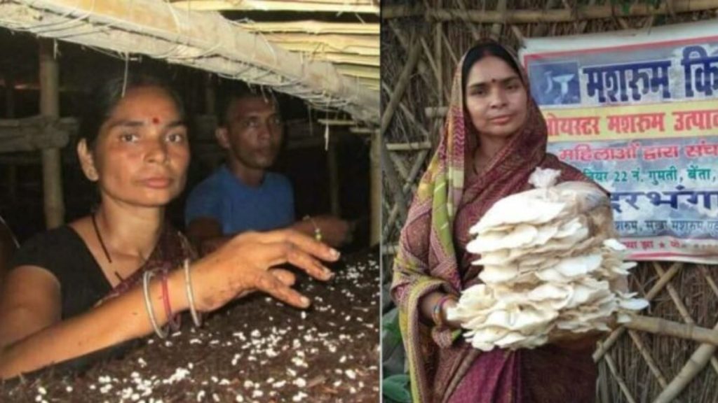 गर्व! बिहार की महिला 20,000 लोगों को मशरूम उगाने की ट्रेनिंग दे चुकी हैं.. 1