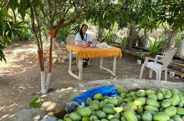 Juhi Chawla : अपने खेत में सब्जियां उगाती है जूही, कई एकड़ में फैला है एक्ट्रेस का फॉर्महाउस, देखें -PHOTOS 2