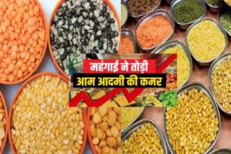 price of pulses