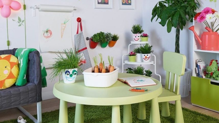 If your child does not feel like studying then plant these plants in the study room