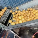 Know about the automatic machine for making Gol Gappa