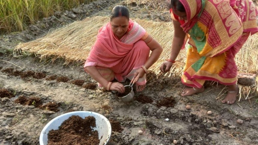 This woman of Bihar earns lakhs a month by cultivating mushrooms