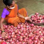 Now onion will be available only for Rs 25 per kg