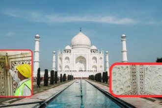 This insect is spoiling the beauty of Taj Mahal