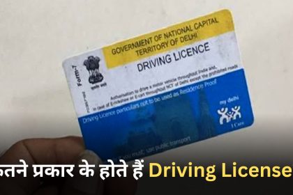 How many types of driving licenses are there