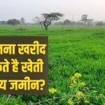 How much cultivable land can a person buy