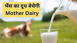 Mother Dairy Milk