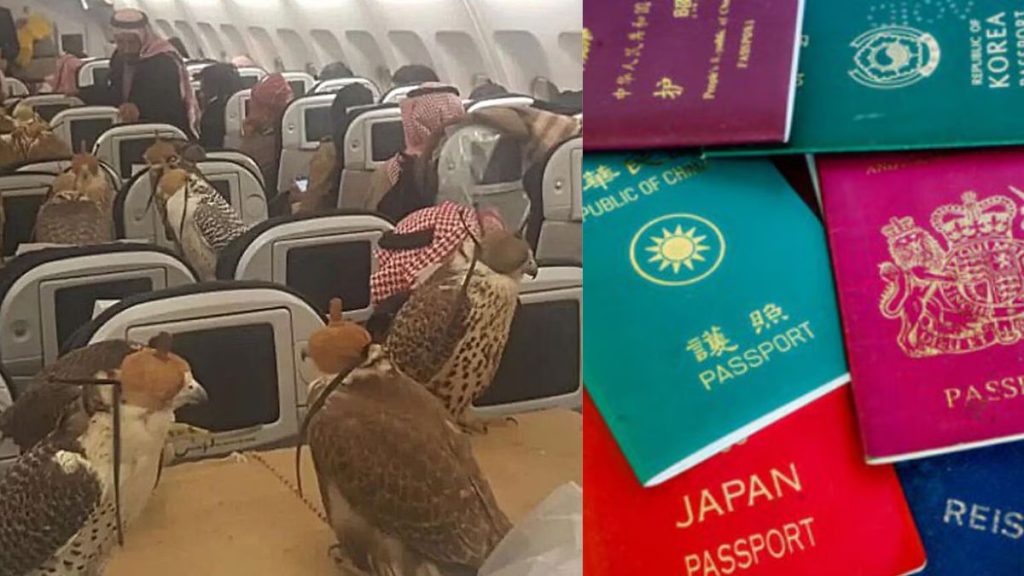 Passports are also made for birds in UAE