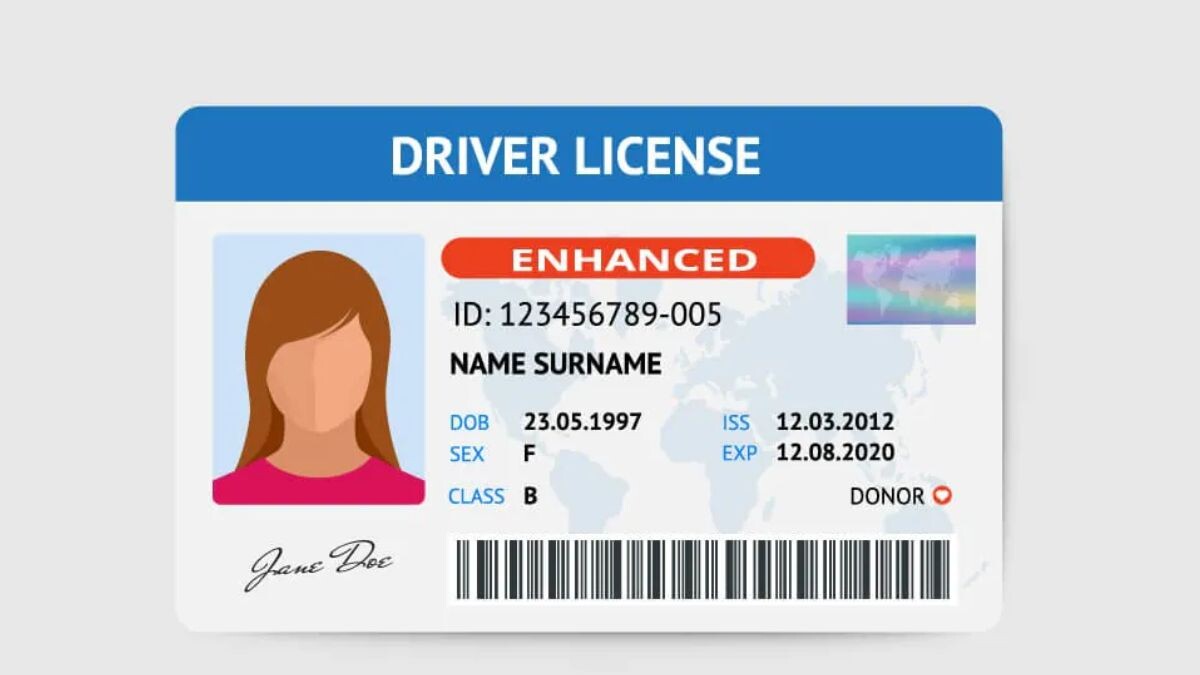 Learner and Driving License