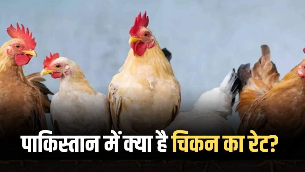 What is the rate of chicken in Pakistan