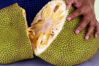 jackfruit cutting tips