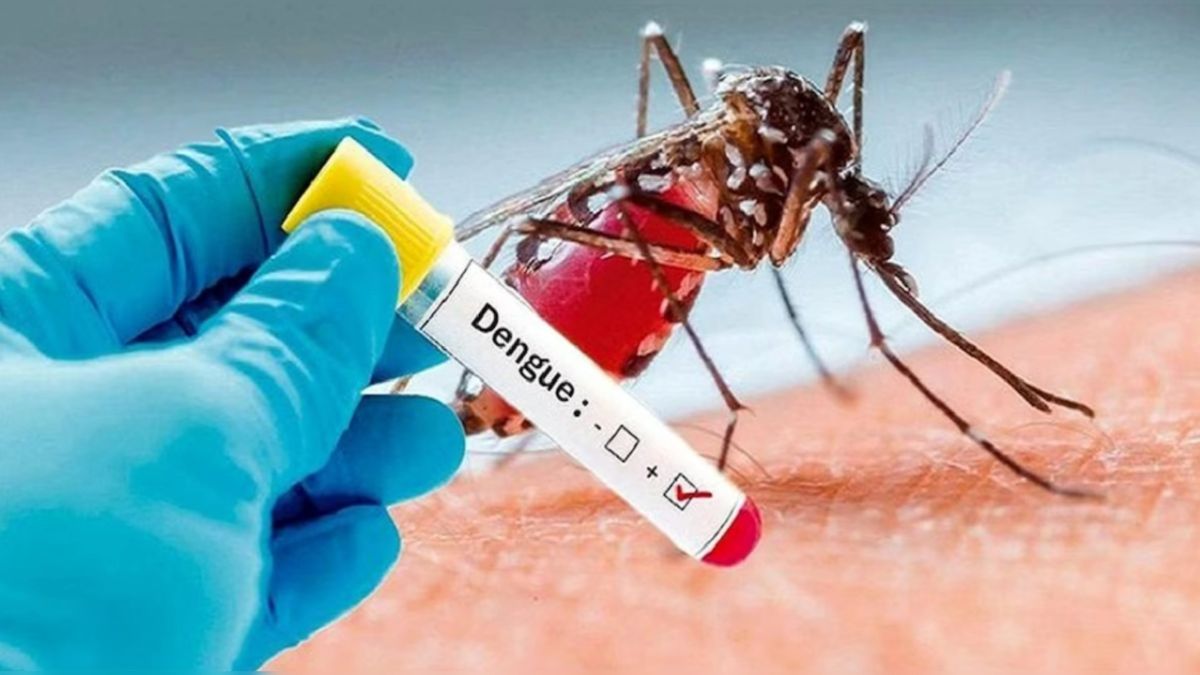 Dengue News Bihar