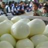Angry at being fed rotten eggs to children in Bakhri