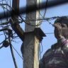 Case registered against 3 persons for electricity theft in Naukothi, Begusarai...