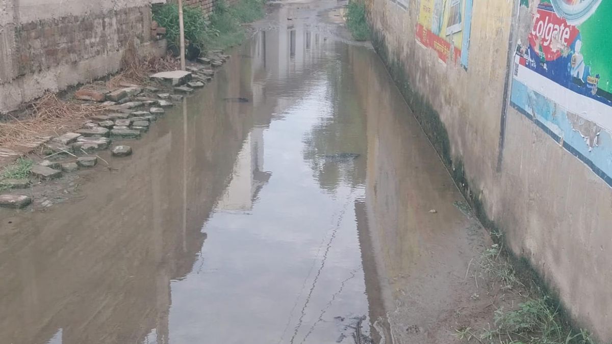 Due to continuous rain in Naokothi, many roads of the block have turned into lakes...