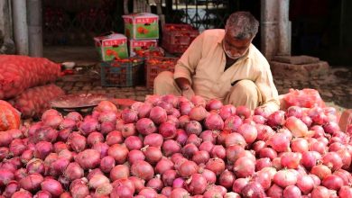 Latest Onion Price