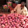 Latest Onion Price