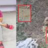 begusarai crime 2