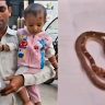 mistook the snake for a toy and took it in his mouth