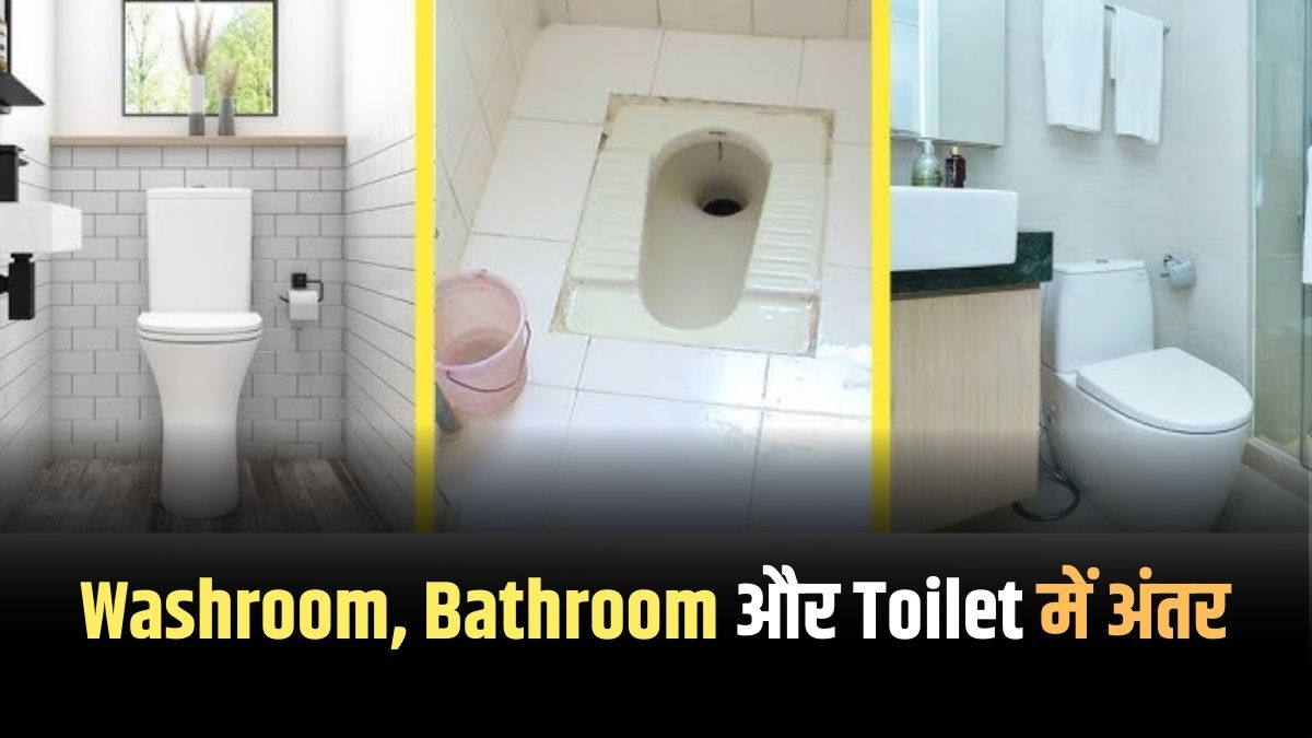 Bathroom, Toilet And Washroom