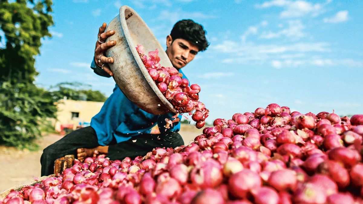 Onion Price Hike