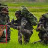 Why are Special Forces commandos fed raw meat