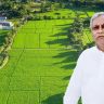 Bihar Land Circle Rate
