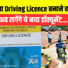 Driving Licence