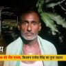 navkothi-farmer-buffalo-missing-worth-3-lakh