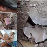 4-people-injured-in-bomb-blast-in-balia-begusarai