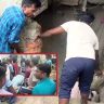 Begusarai News