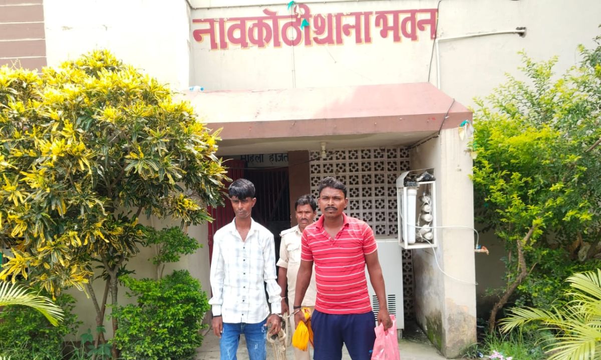 Naavkothi