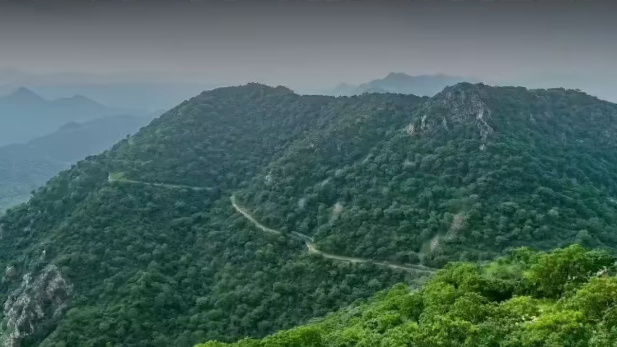 Aravali hills dispute