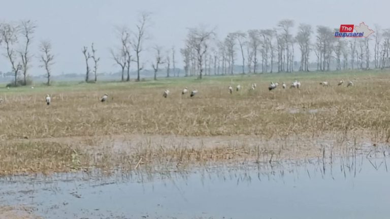 काबर टाल परियोजना पर बढ़ा विवाद, किसानों के विस्थापन का मुद्दा गरमाया, मेधा पाटकर के समर्थन से आंदोलन तेज