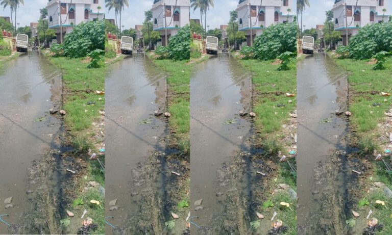 25 साल में 7 बार बनी सड़क, फिर भी नहीं बदली तस्वीर; मंझौल की पचमहला रोड पर बह रहा नाले का पानी Manjhaul News